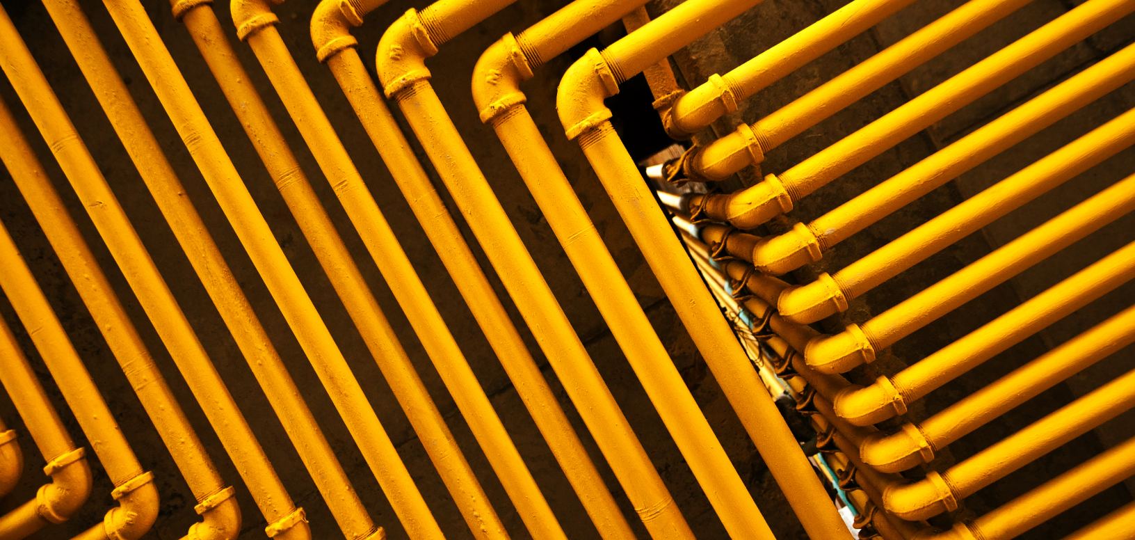 Plumbing Services East Bay